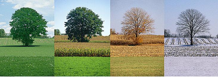 《怪物猎人：荒野》PS奖杯列表曝光 “大小金”奖杯仍然存在